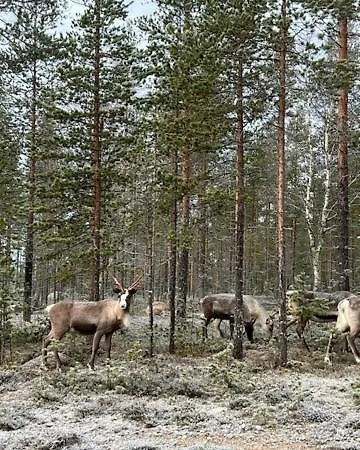 公寓 Raanu 45 Minutes From Rovaniemi Center *