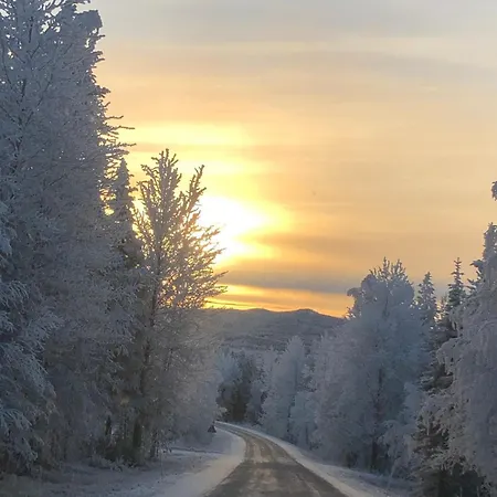 Raanu 45 Minutes From Rovaniemi Center * Raanujärvi