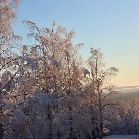 Raanu 45 Minutes From Rovaniemi Center