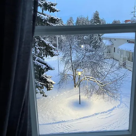 Raanu 45 Minutes From Rovaniemi Center