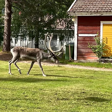 Raanu 45 Minutes From Rovaniemi Center Apartamento Raanujärvi