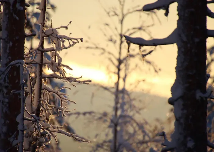 Raanu 45 Minutes From Rovaniemi Center Raanujärvi