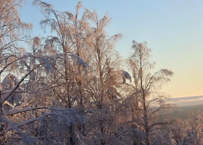 Raanu 45 Minutes From Rovaniemi Center