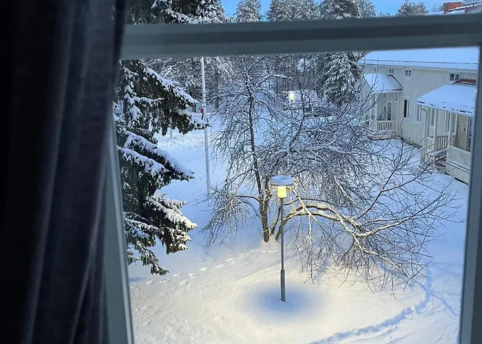 Raanu 45 Minutes From Rovaniemi Center