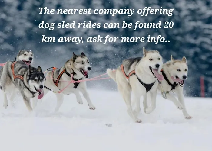 Raanu 45 Minutes From Rovaniemi Center * Raanujärvi