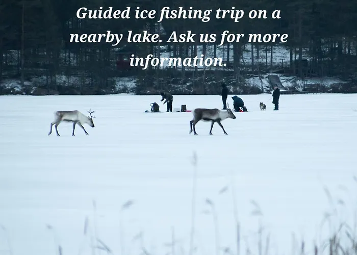 Raanu 45 Minutes From Rovaniemi Center * Raanujärvi